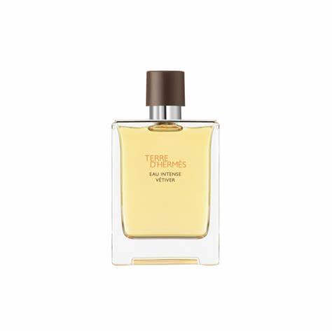 Hermes â Terre dâHermes Intense Vetiver 100 ml Edt TESTER