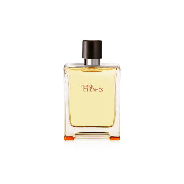 Hermes Terre d’Hermes 100 ML EDT TESTER