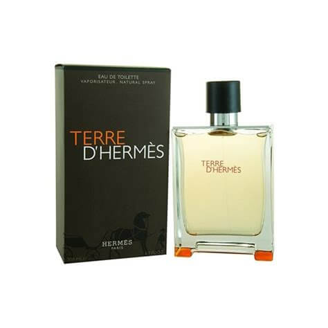 Hermes â Terre dâHermes 100 ml Edt